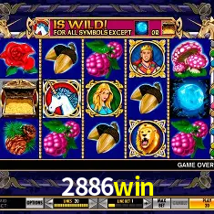 2886win São Paulo - All Bonuses
